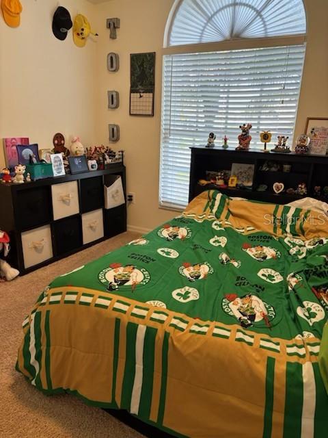 4304 STONES RIVER CT — photo 11