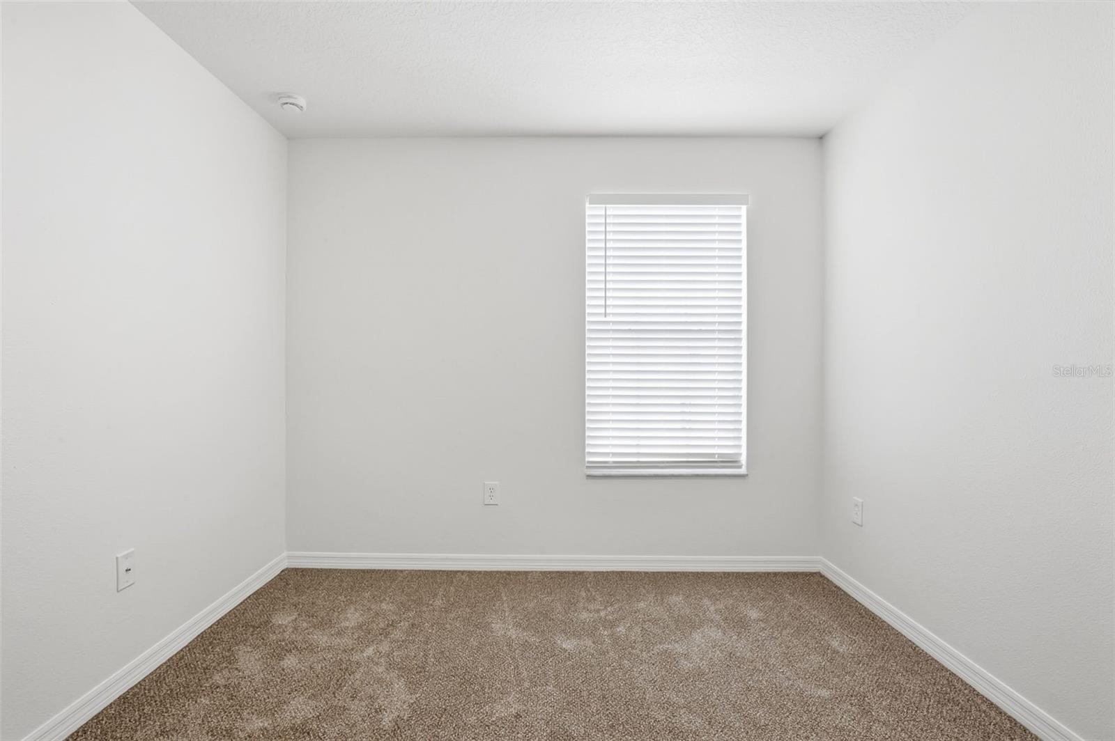 20506 CAROLINA CHERRY CT — photo 26