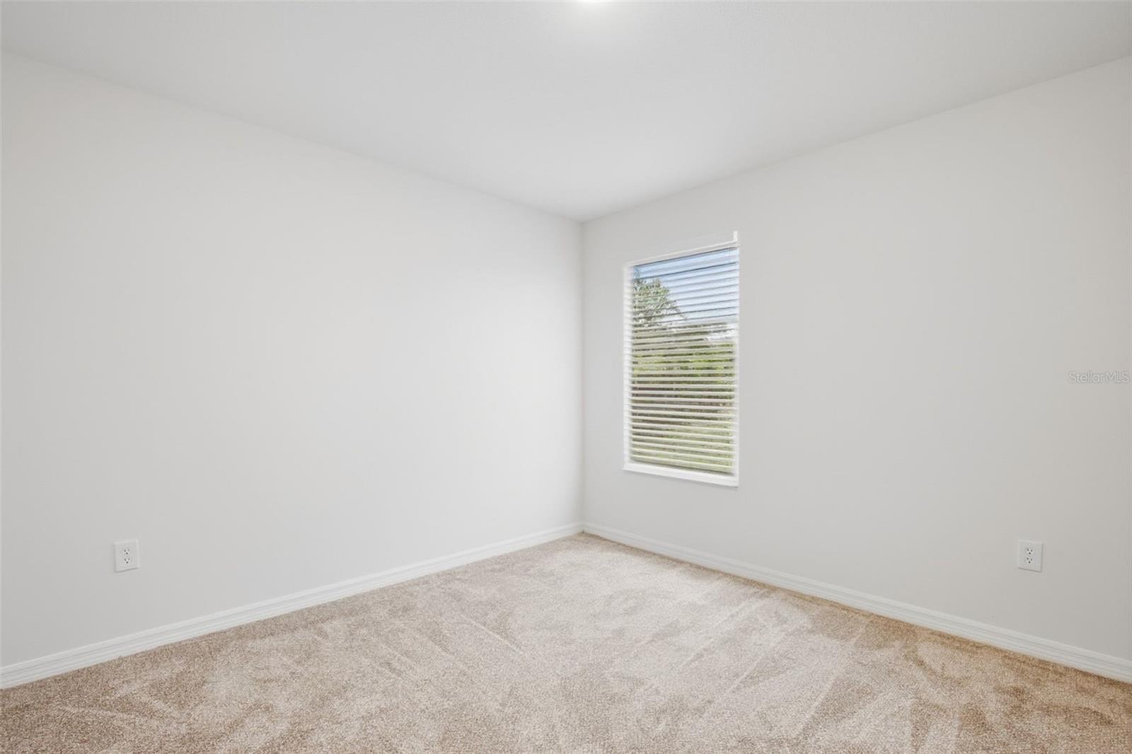 20506 CAROLINA CHERRY CT — photo 29