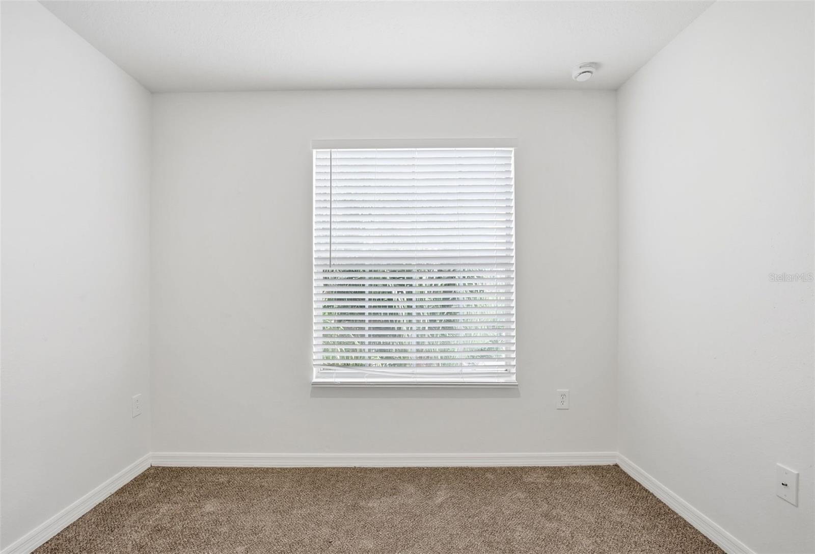 20506 CAROLINA CHERRY CT — photo 36