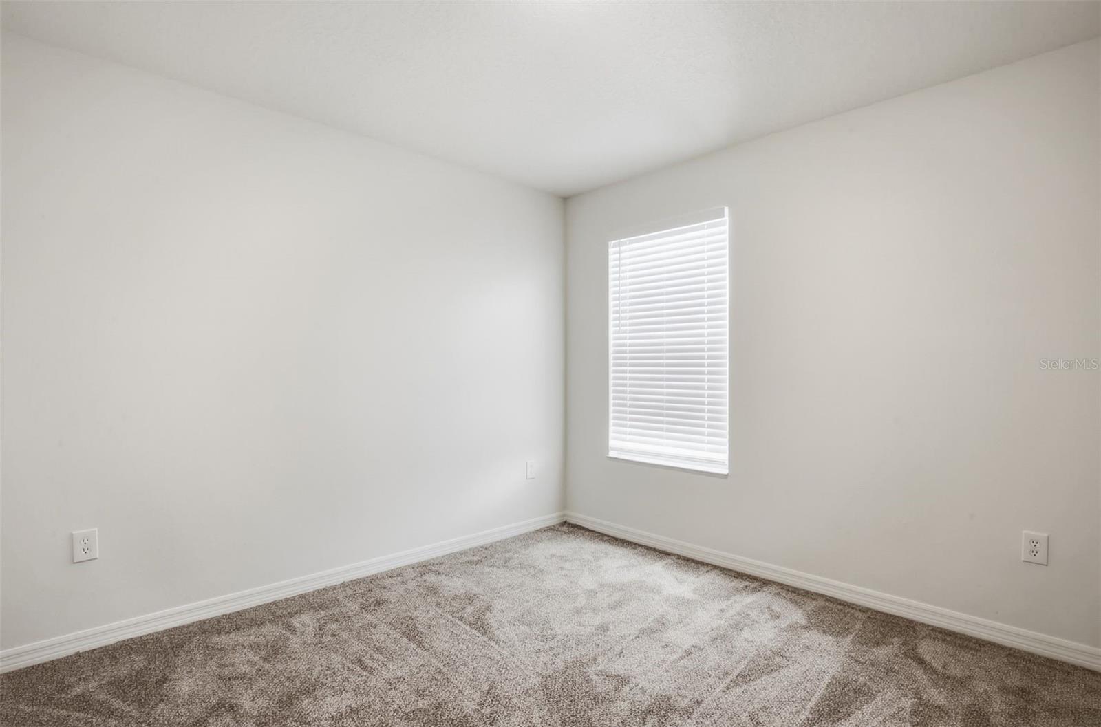 20506 CAROLINA CHERRY CT — photo 28