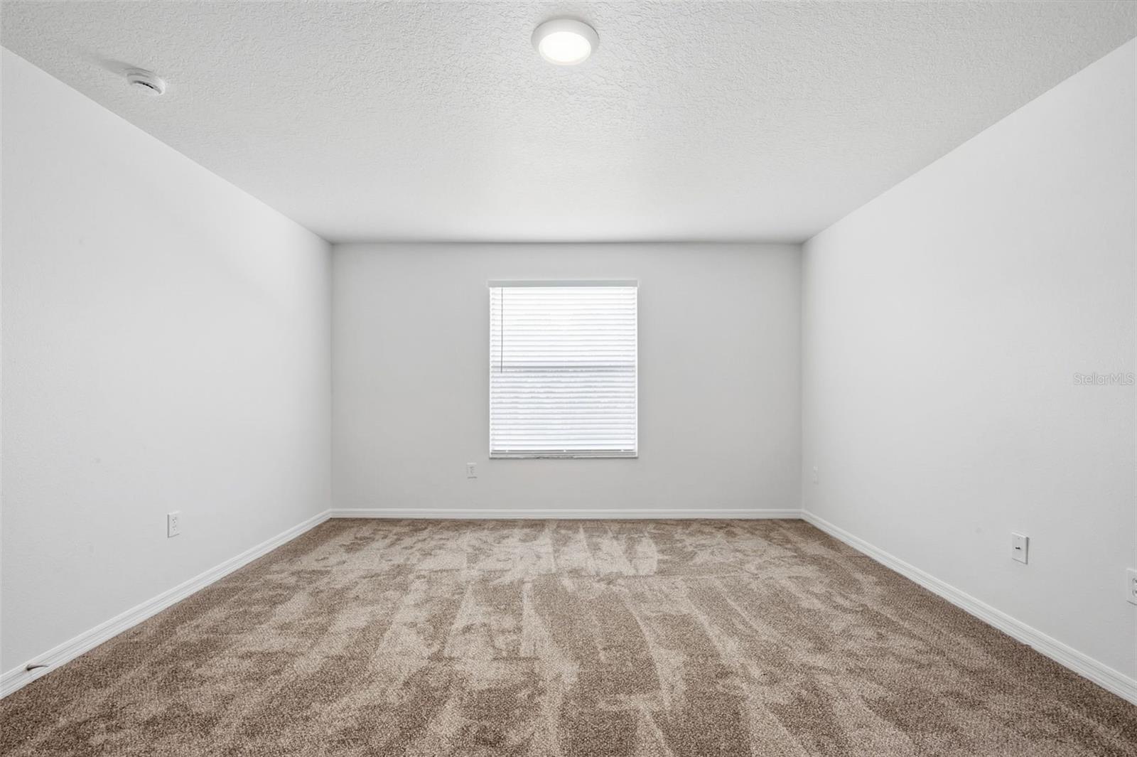 20506 CAROLINA CHERRY CT — photo 33