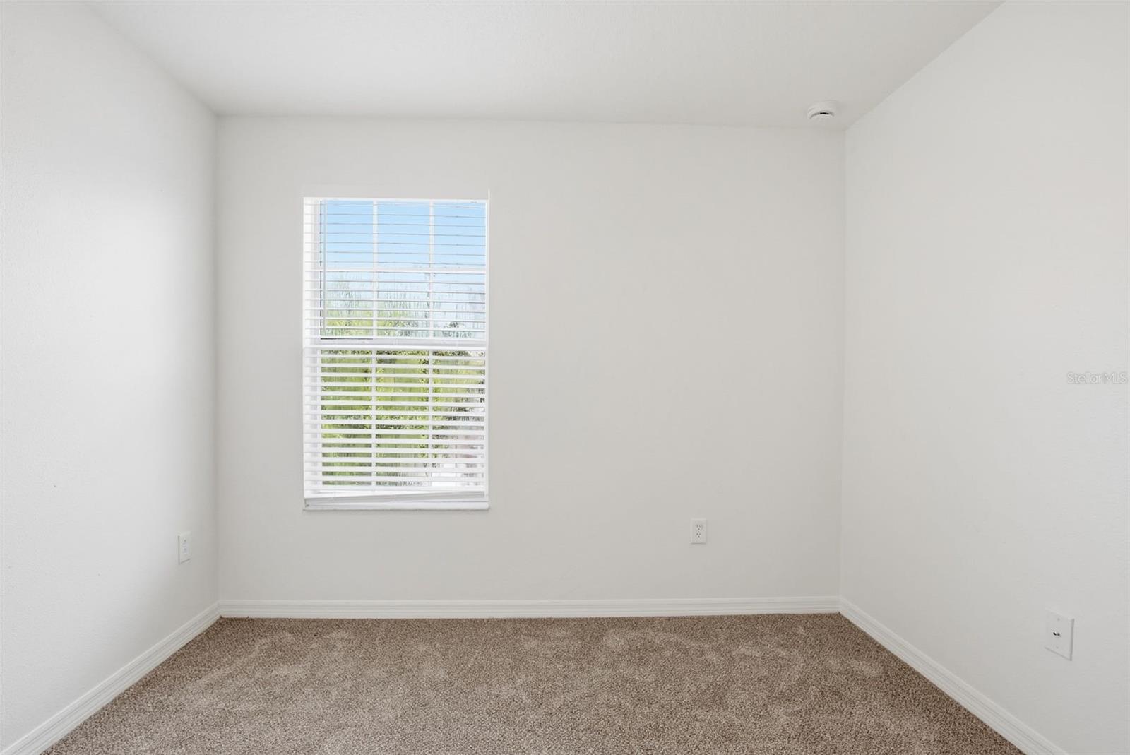 20506 CAROLINA CHERRY CT — photo 24