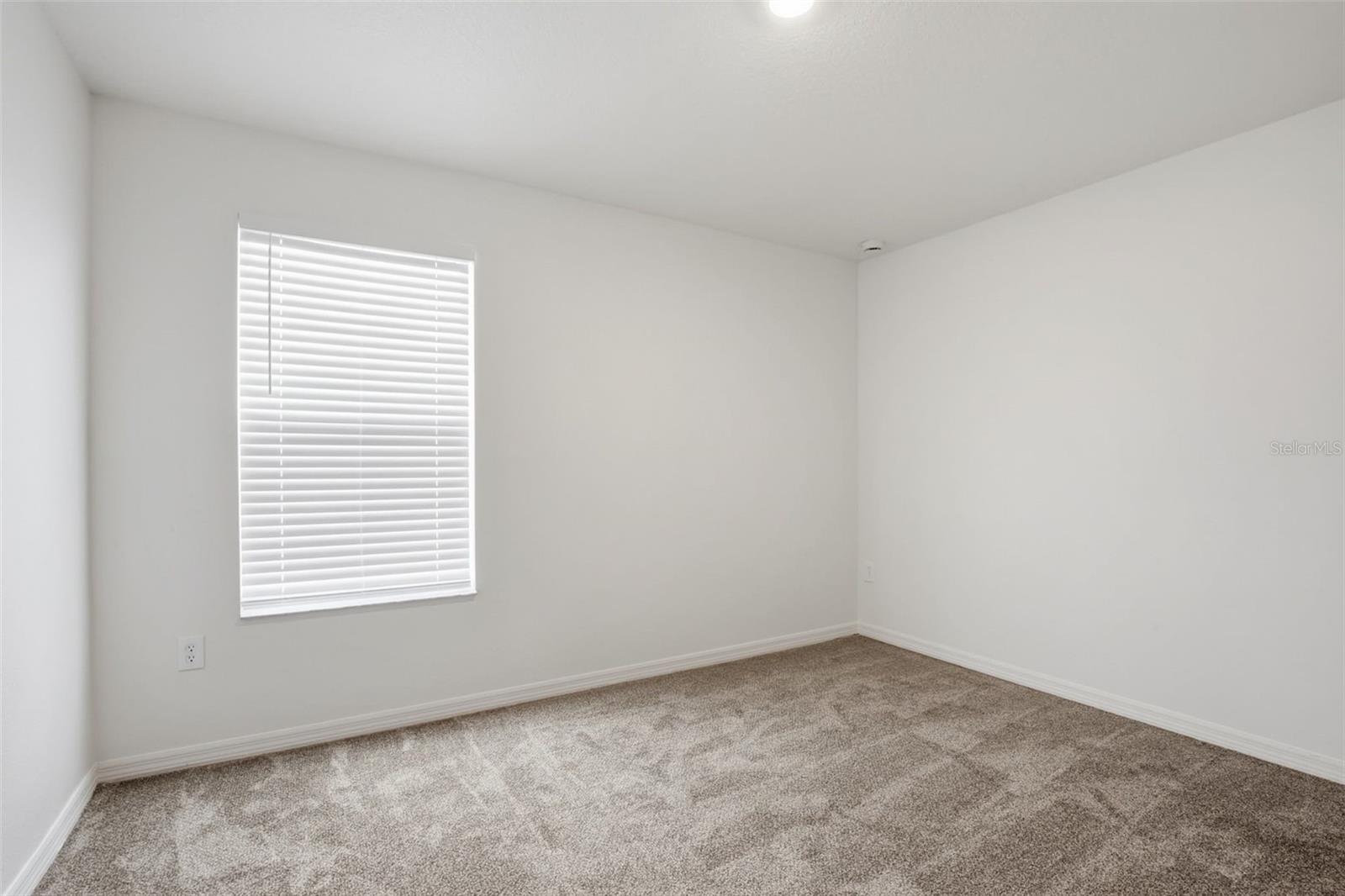 20506 CAROLINA CHERRY CT — photo 31