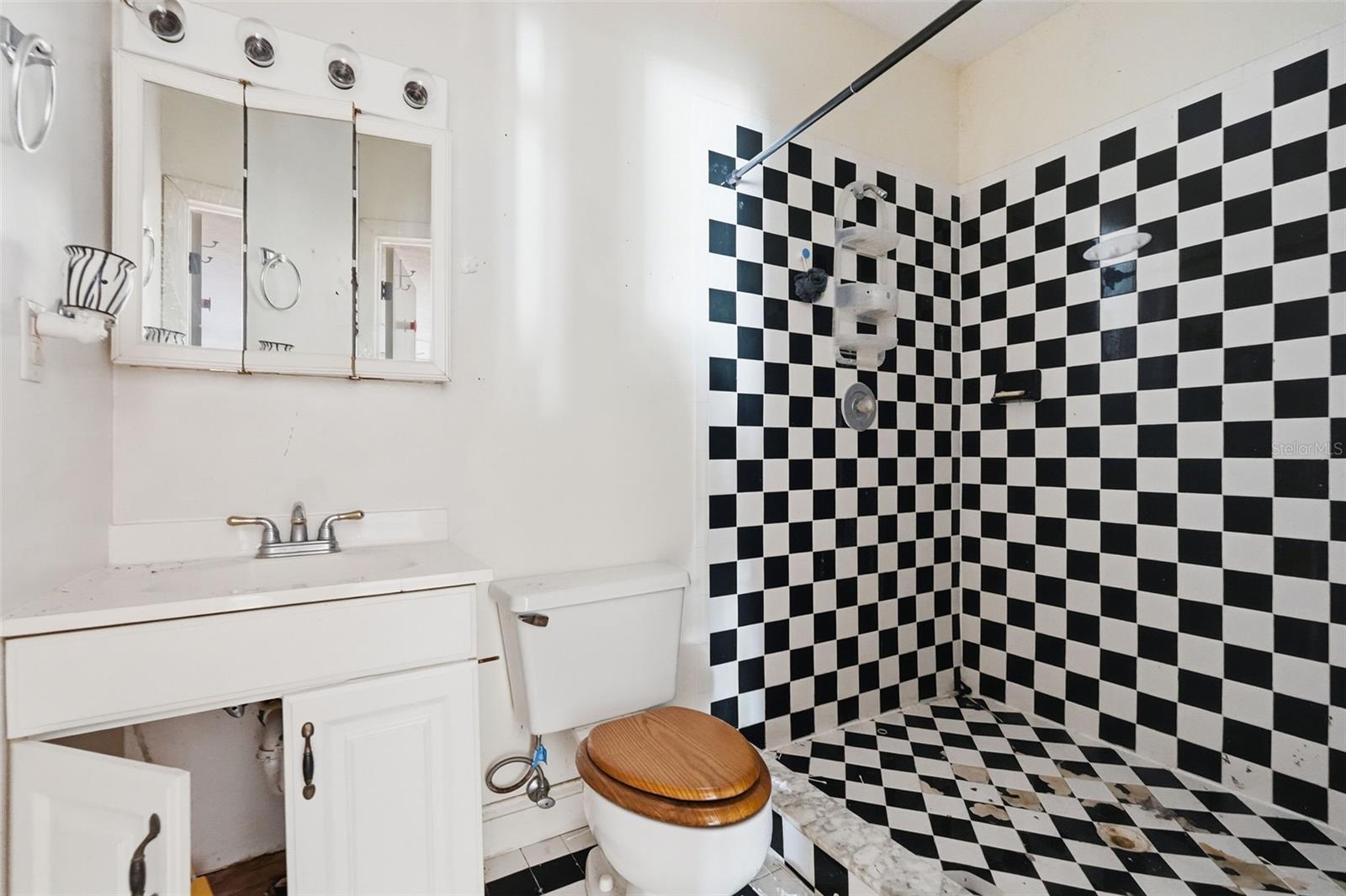 832 S PARSONS AVE — photo 62