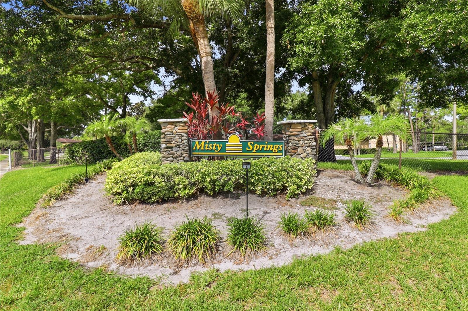 2685 SABAL SPRINGS CIR #105 — photo 23