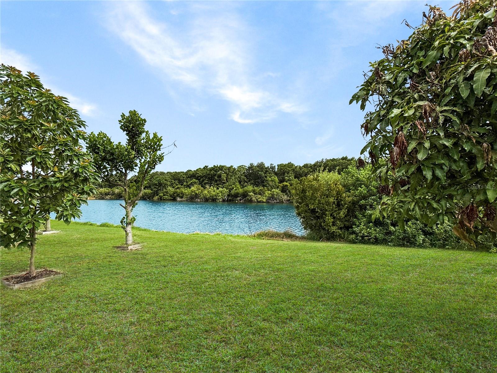7115 FOREST MERE DR — photo 25