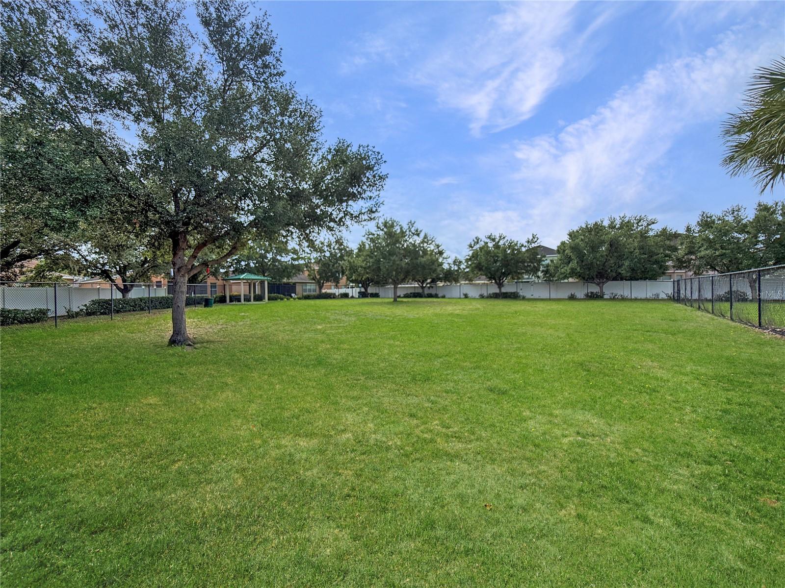 7115 FOREST MERE DR — photo 47