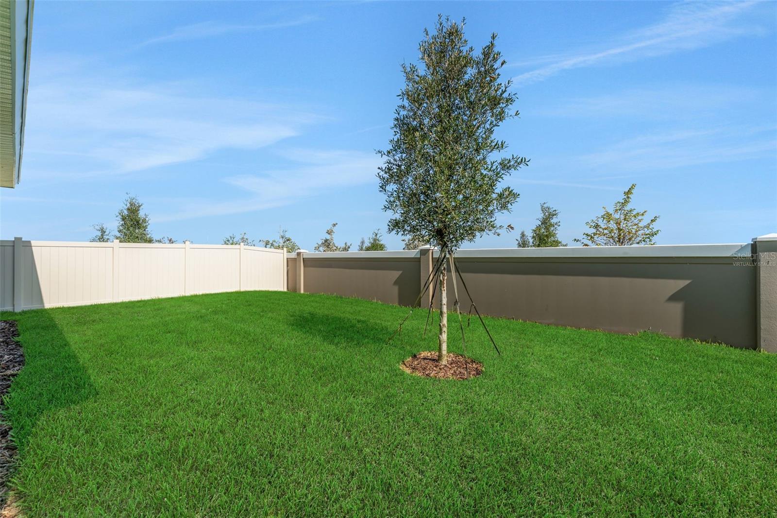 8124 SUNNY POINT TRL — photo 4