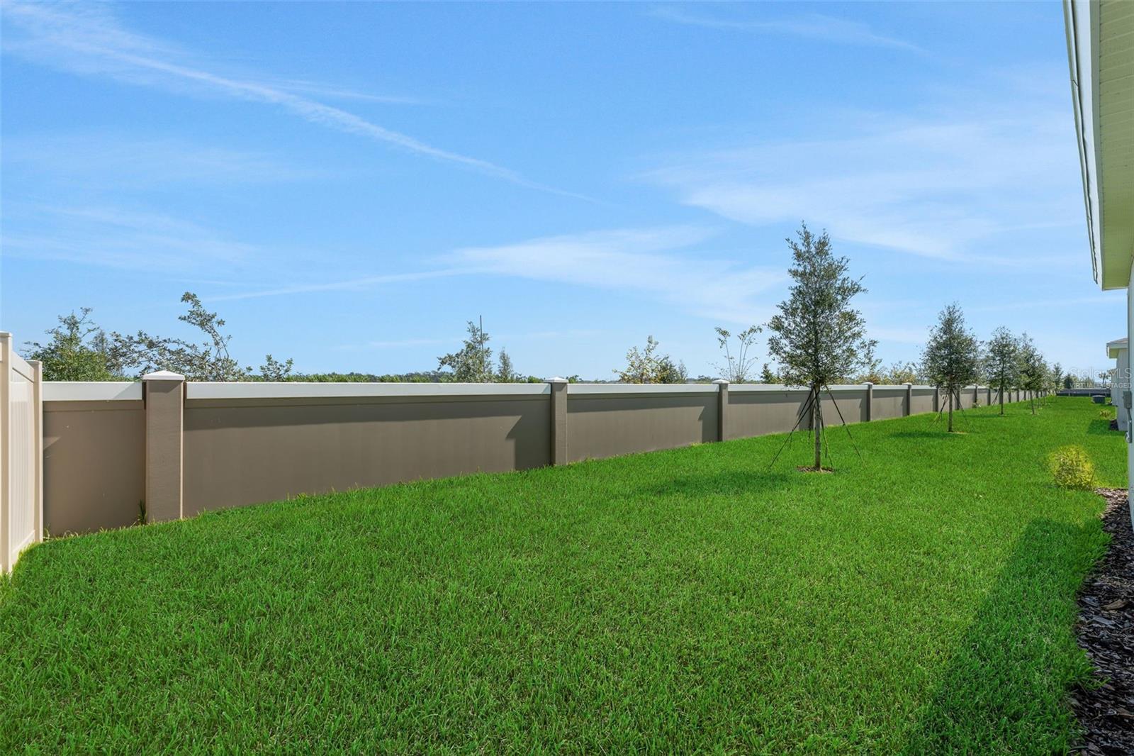 8124 SUNNY POINT TRL — photo 8