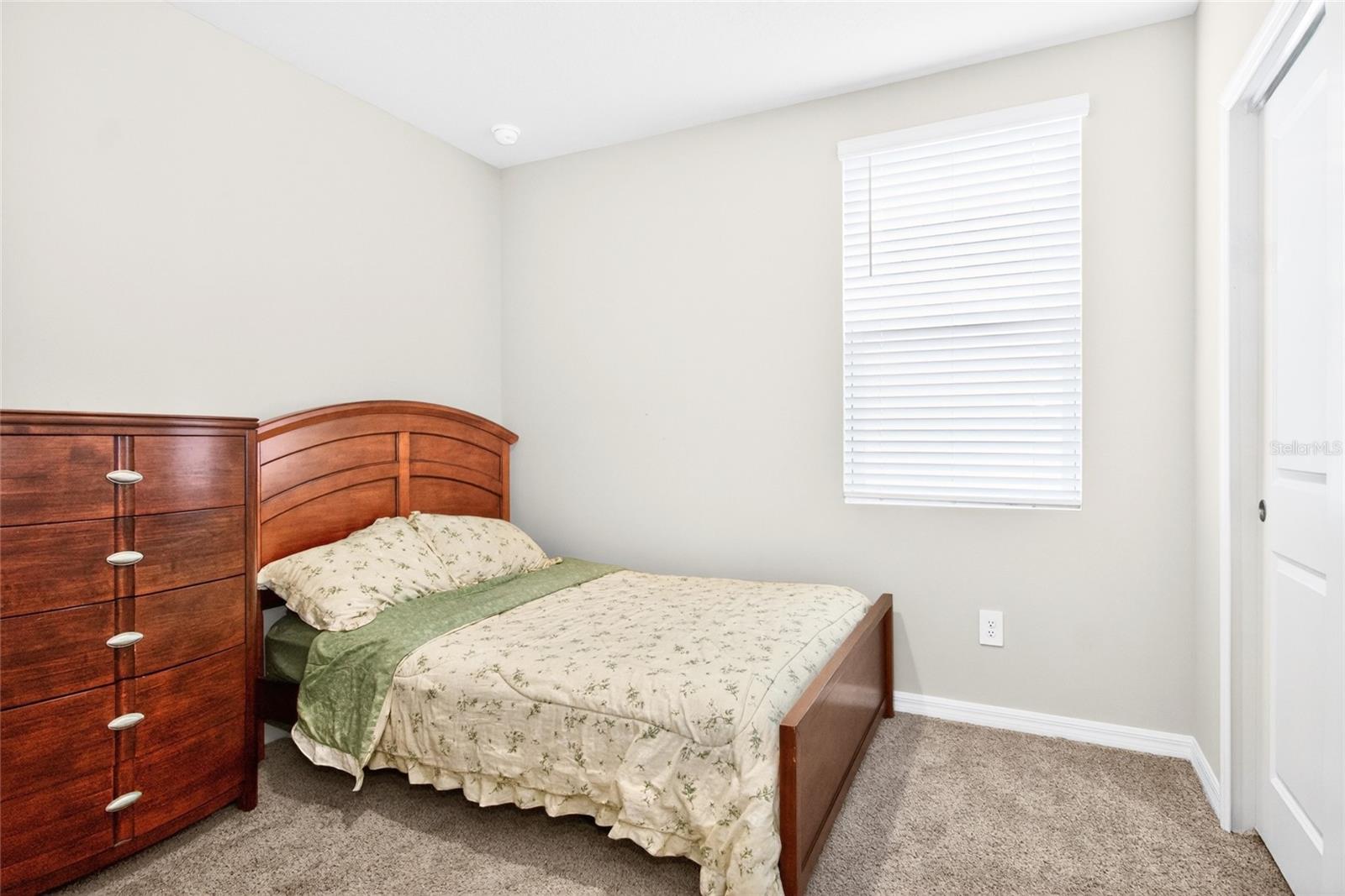 3729 RADIANT MOUNTAIN DR — photo 26