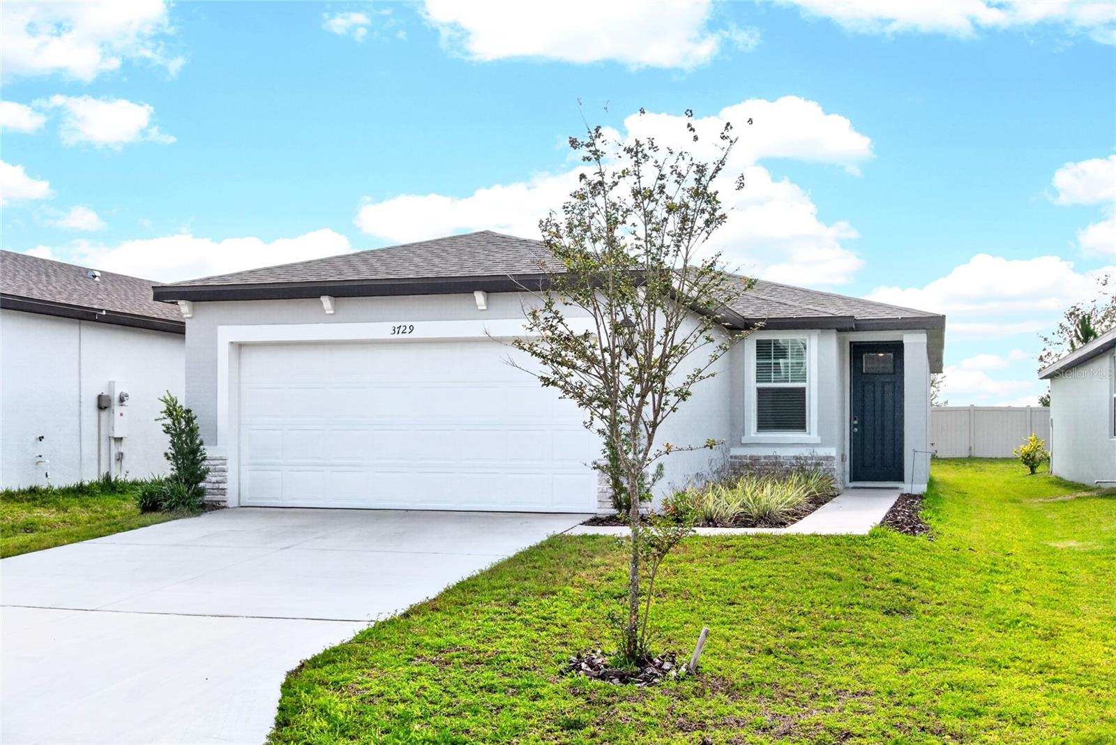 3729 RADIANT MOUNTAIN DR — photo 3