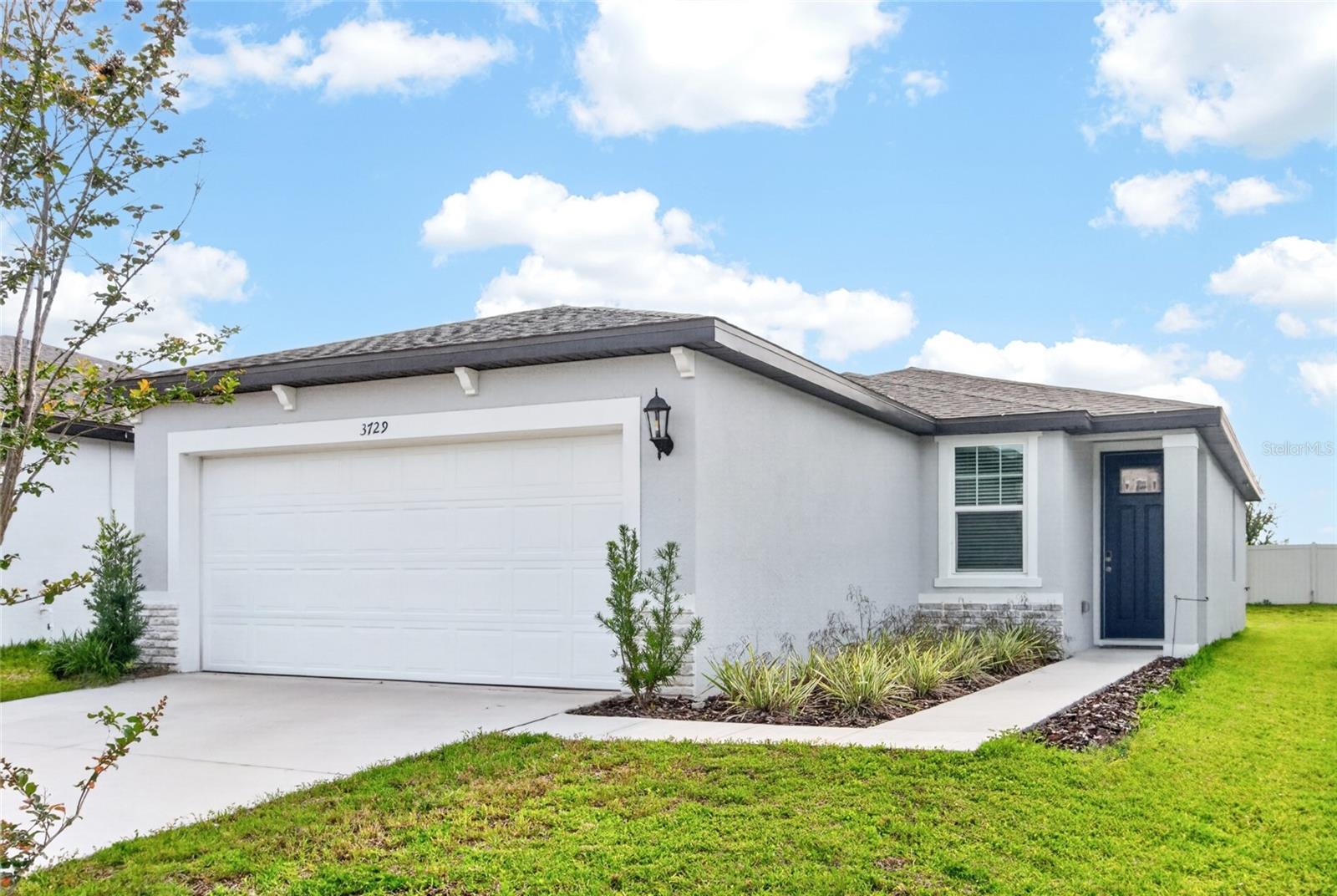 3729 RADIANT MOUNTAIN DR — photo 2