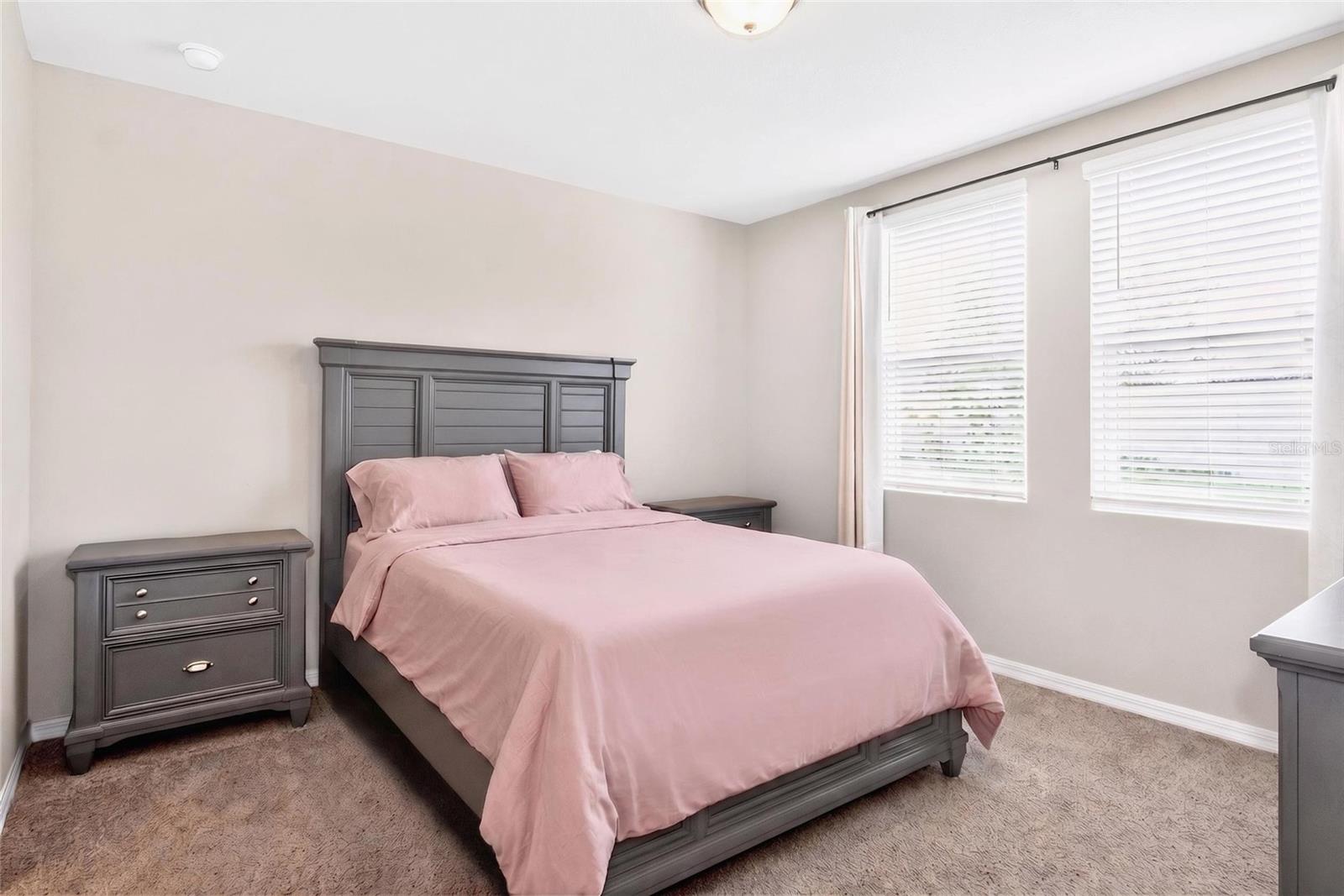 3729 RADIANT MOUNTAIN DR — photo 18