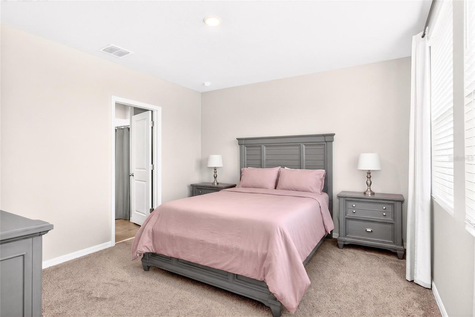 3729 RADIANT MOUNTAIN DR — photo 17