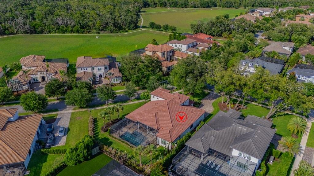 5201 ALAFIA FALLS DR — photo 71