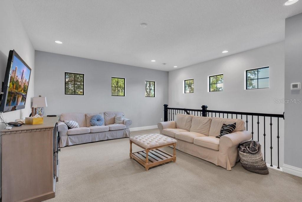 5201 ALAFIA FALLS DR — photo 38