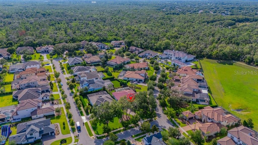 5201 ALAFIA FALLS DR — photo 66