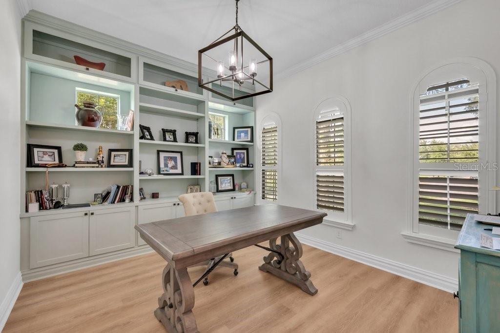 5201 ALAFIA FALLS DR — photo 11