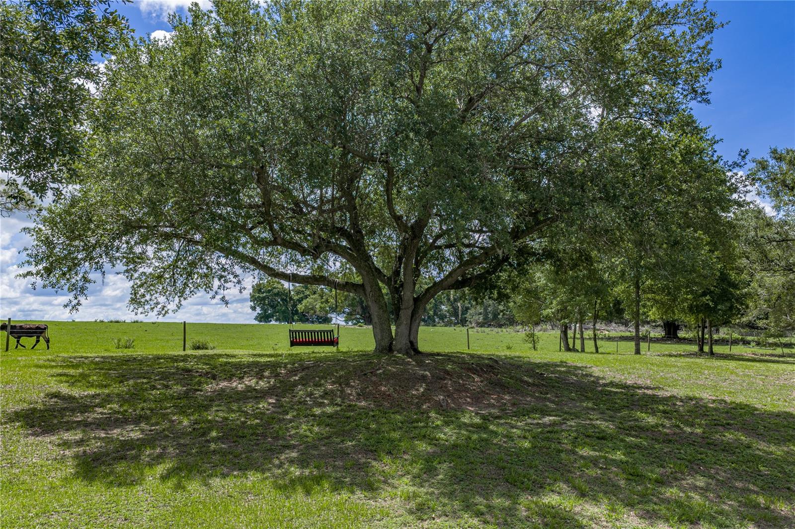 37624 SKY RIDGE CIR — photo 77