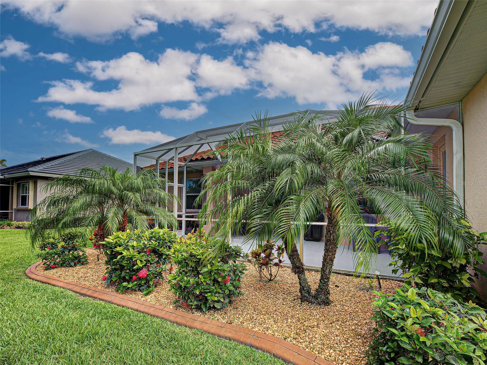 5017 BELLA TERRA DR — photo 48