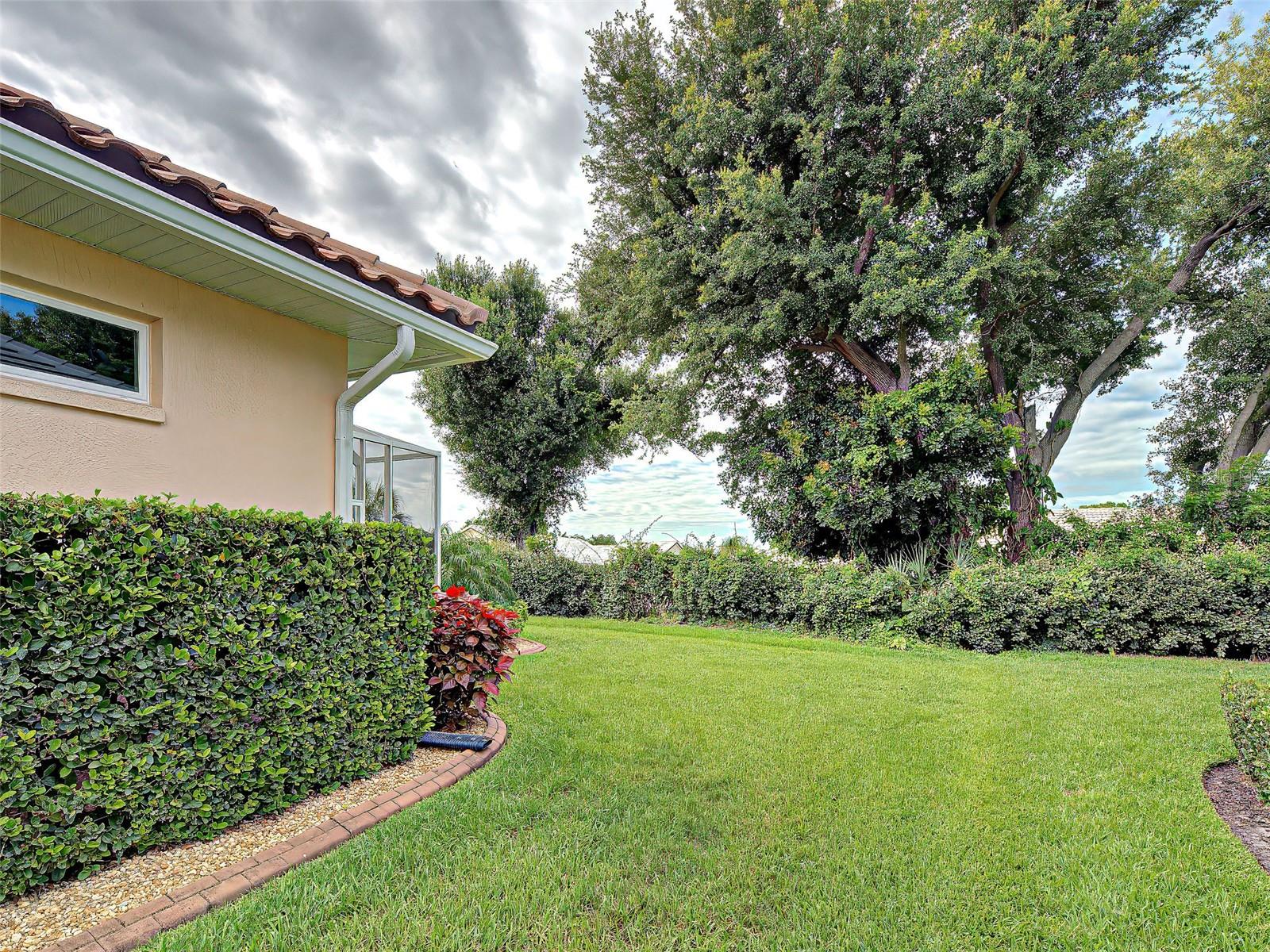 5017 BELLA TERRA DR — photo 46
