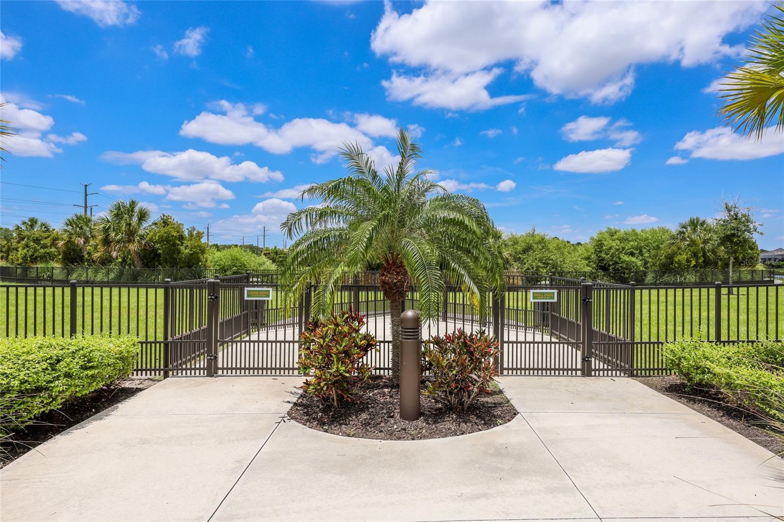 2493 PARADISE PLUM DR — photo 59