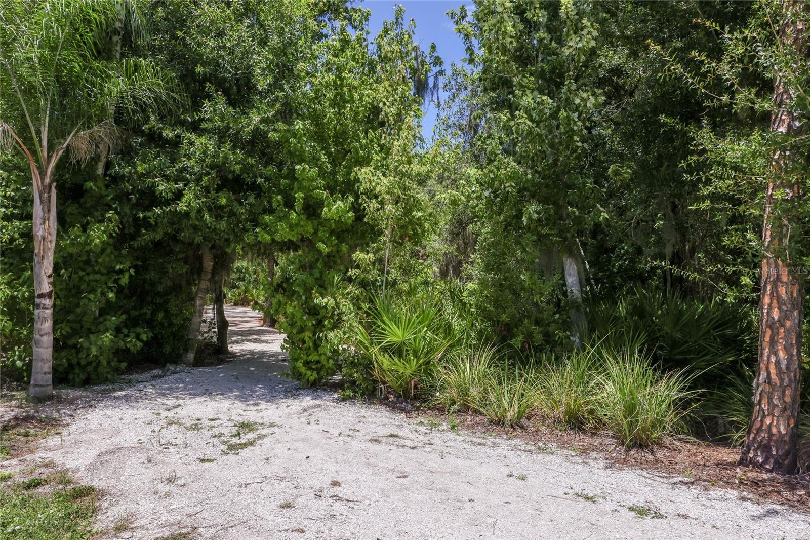 2493 PARADISE PLUM DR — photo 36