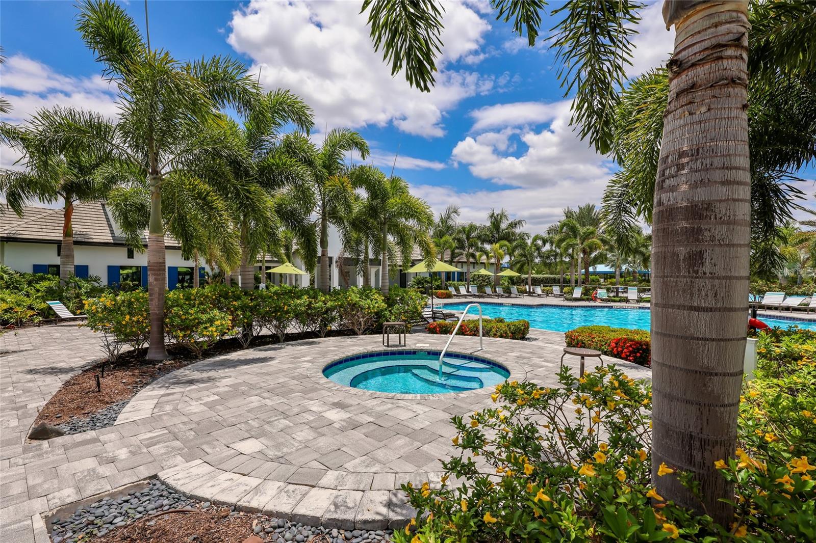 2493 PARADISE PLUM DR — photo 49