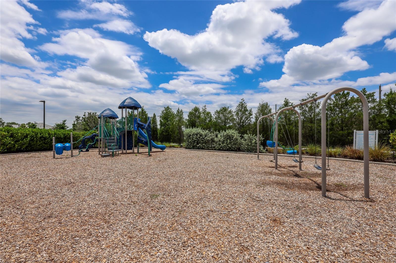 2493 PARADISE PLUM DR — photo 56