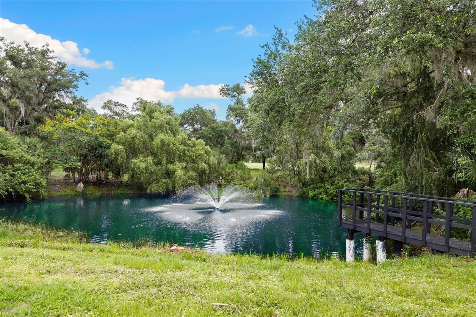 7351 IGUANA DR — photo 78