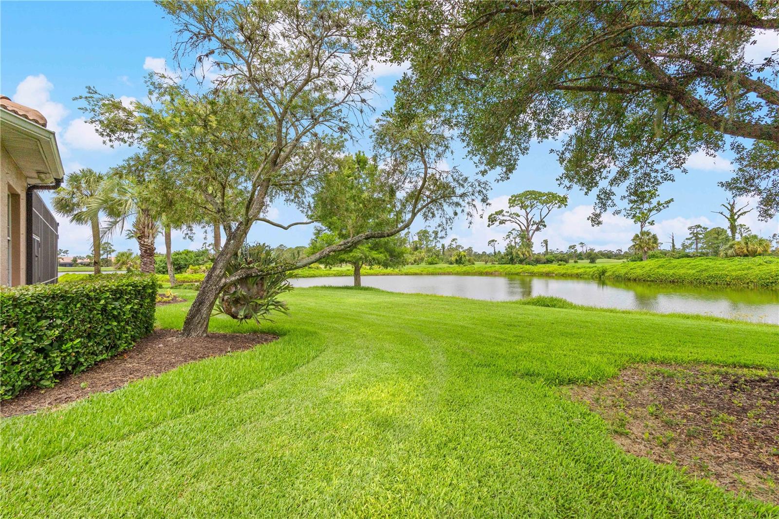5302 WHITE IBIS CT. — photo 40