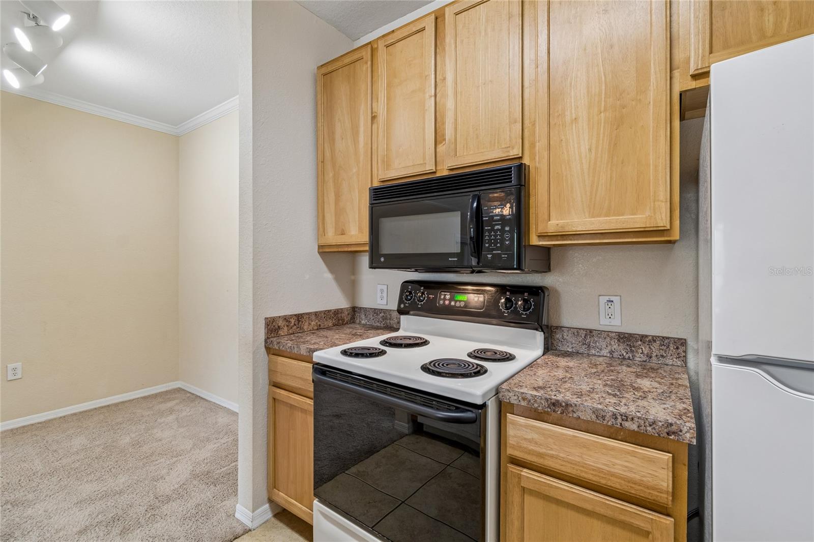 10203 COURTNEY PALMS BLVD #103 — photo 18