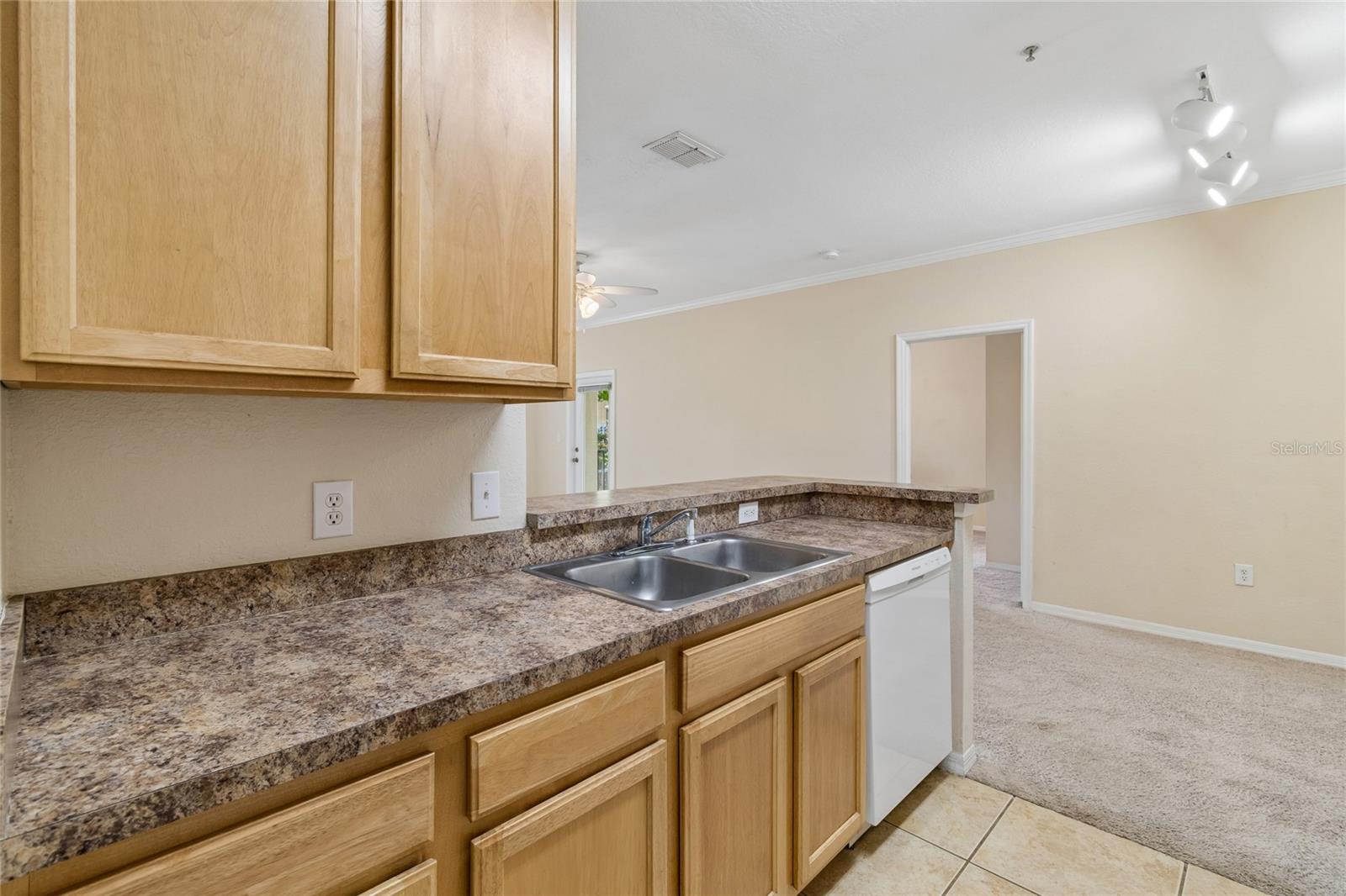 10203 COURTNEY PALMS BLVD #103 — photo 17