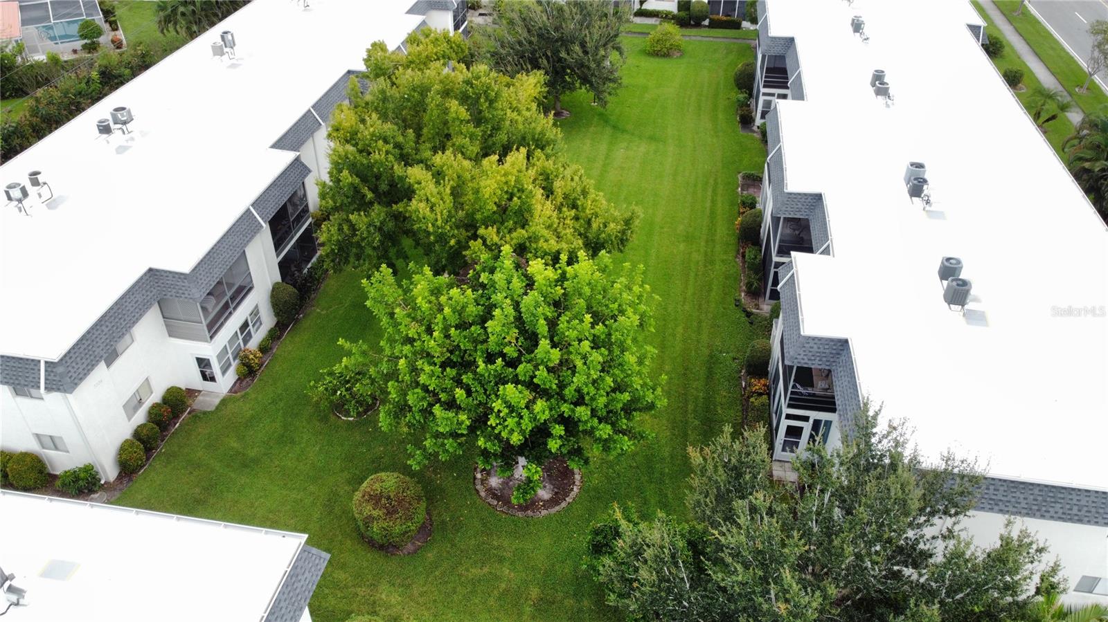 3606 BENEVA RD #504 — photo 3