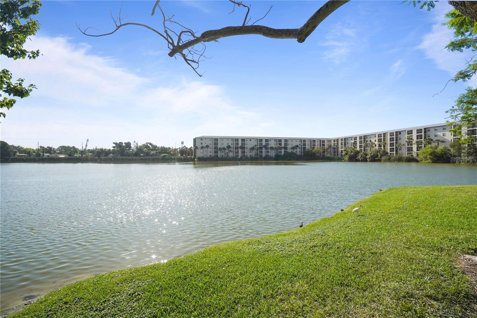 4013 LAKE BAYSHORE DR #107 — photo 29
