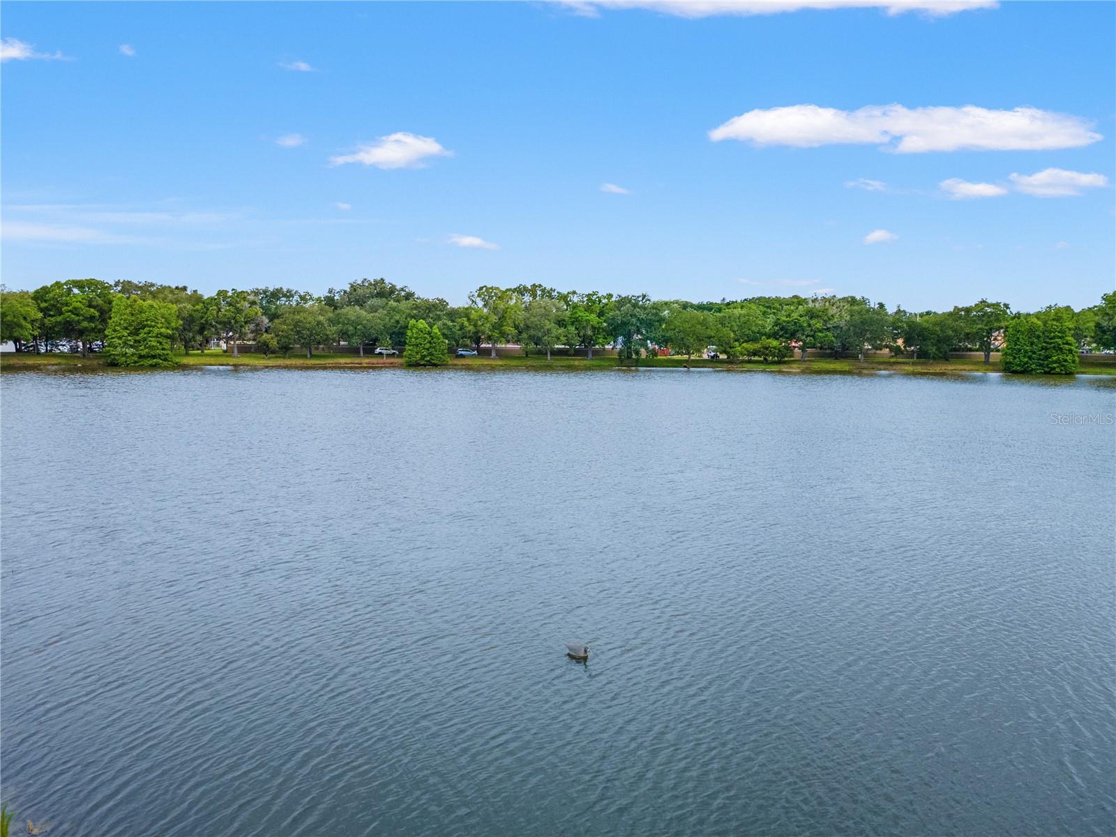 11503 WHISPERING HOLLOW DR — photo 46