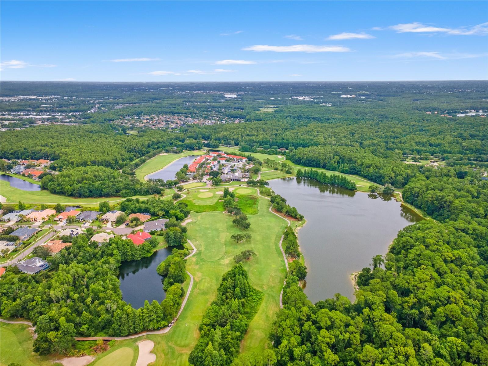11503 WHISPERING HOLLOW DR — photo 53