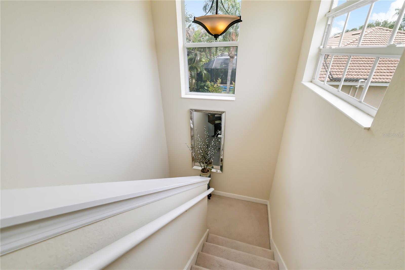 12471 NATUREVIEW CIR — photo 40