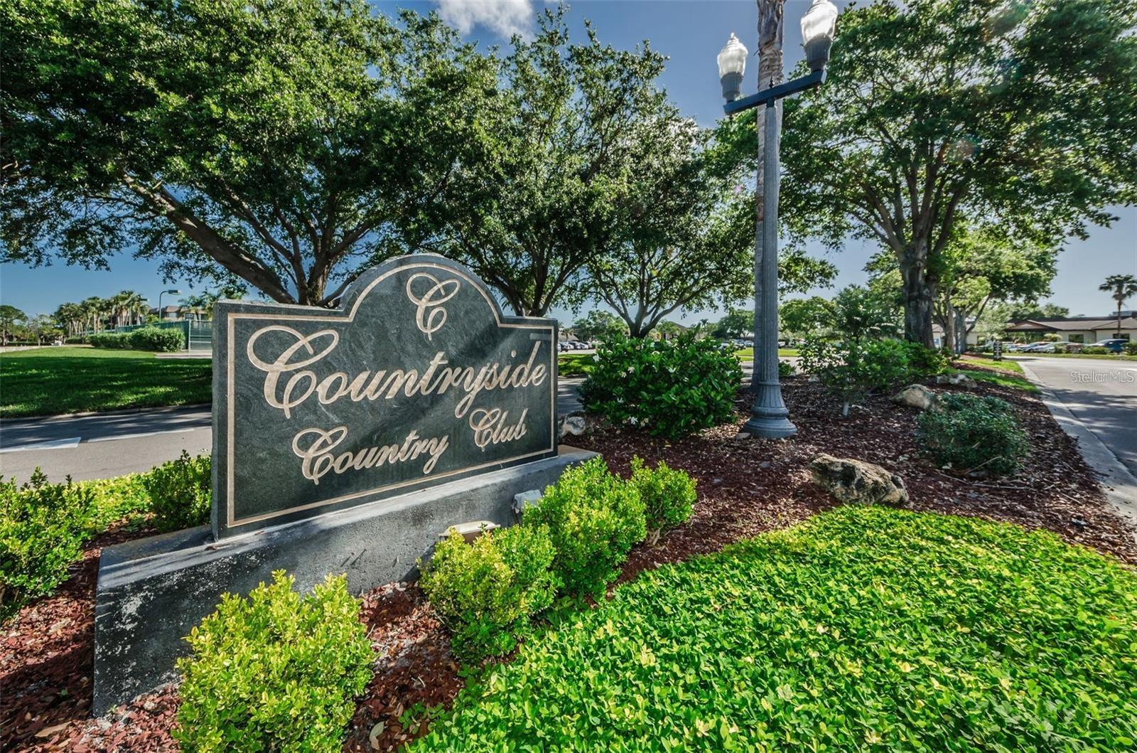 3021 COUNTRYSIDE BLVD #44A — photo 33