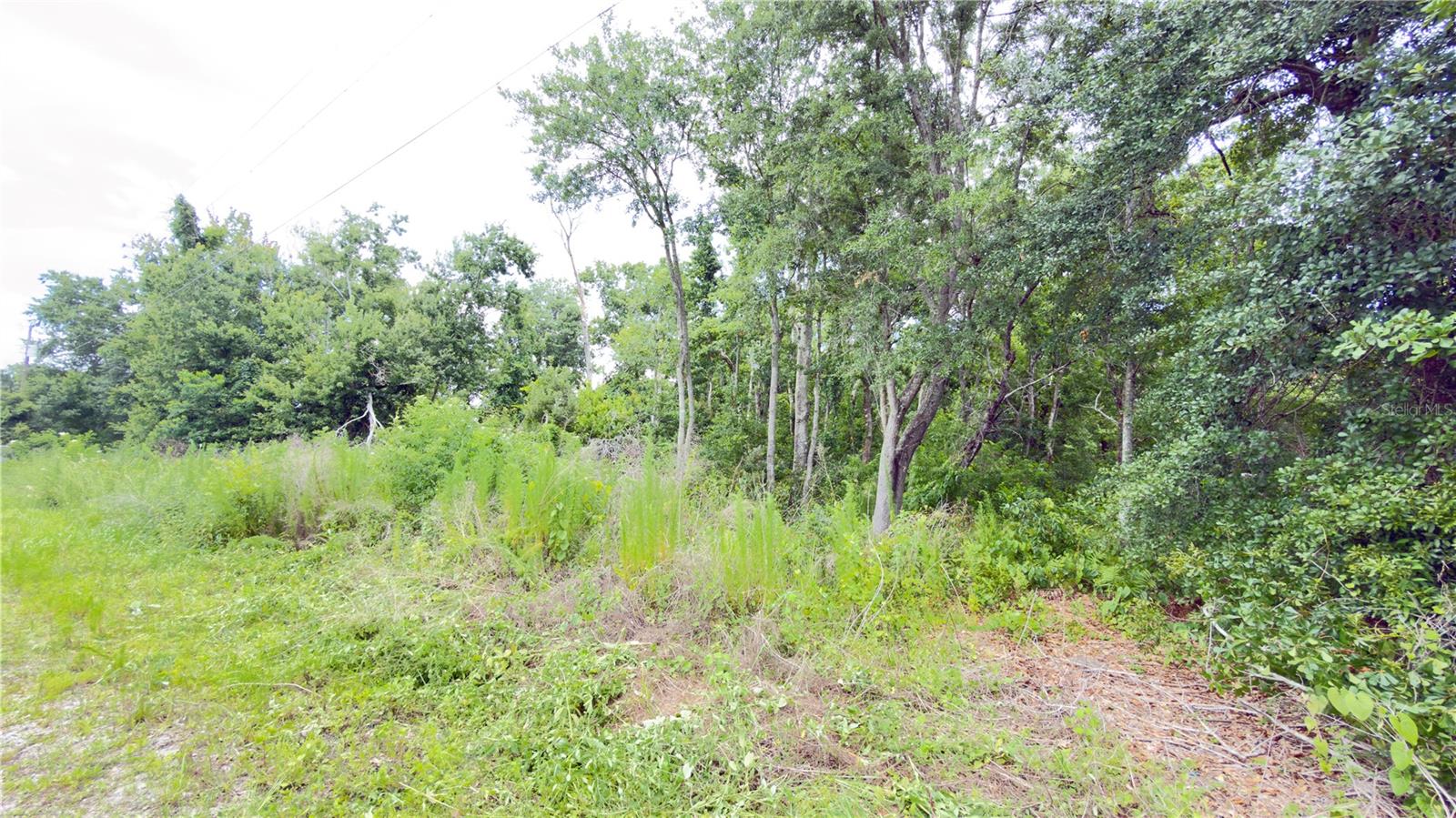 7402 LAND DR — photo 2