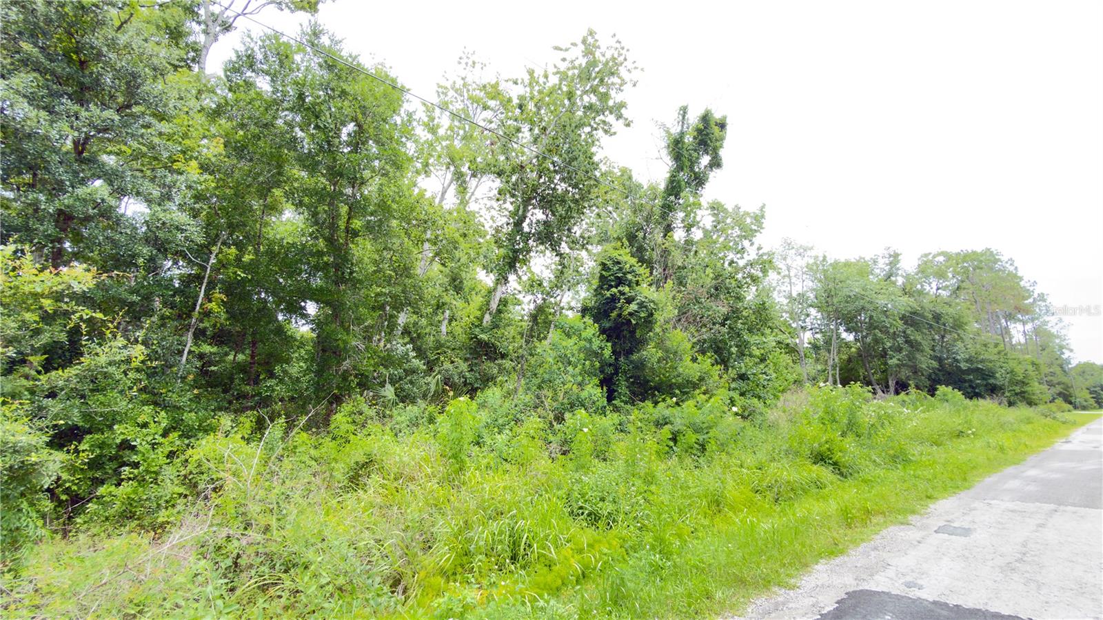 7402 LAND DR — photo 6
