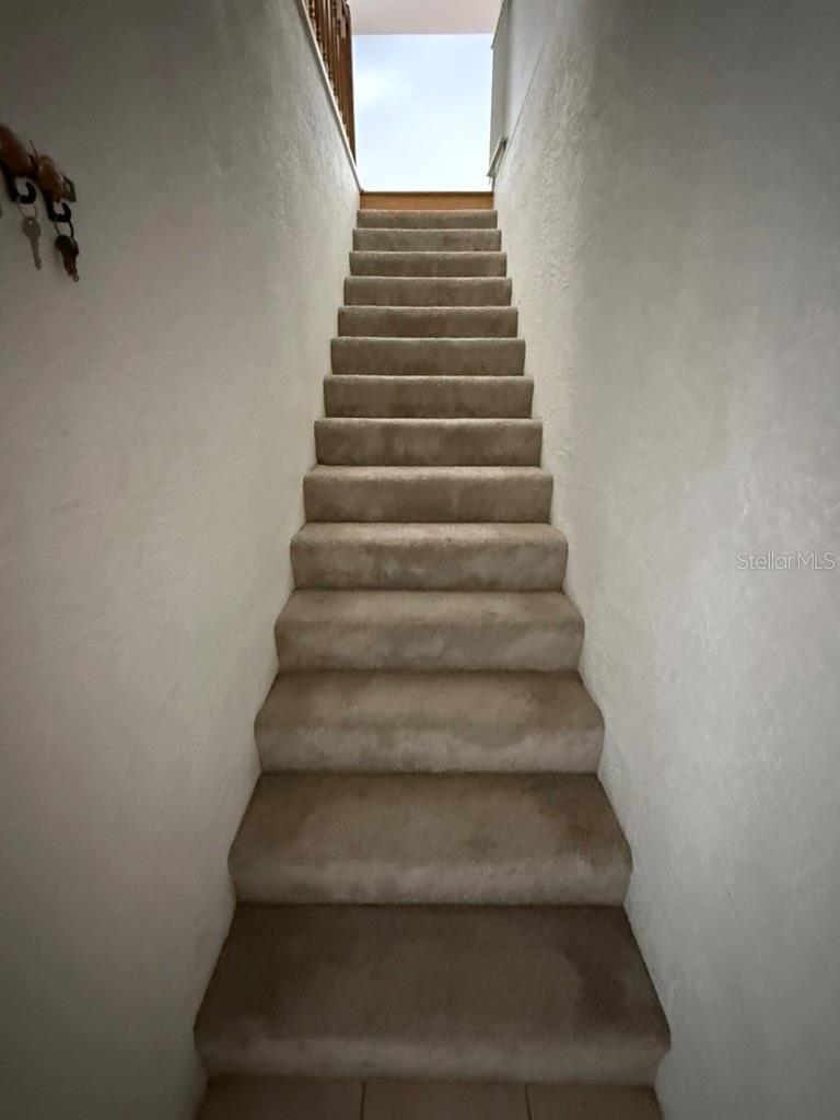 7637 HATTERAS DR — photo 24