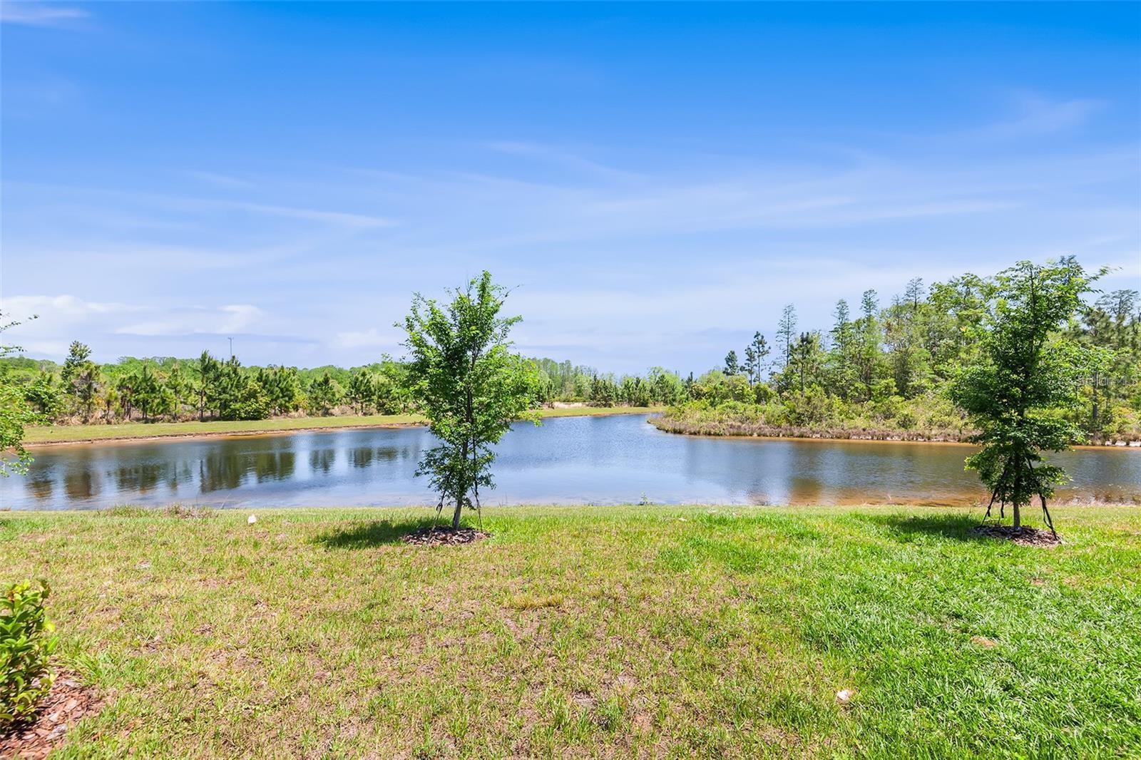 11236 CRESCENT DEER DR — photo 14