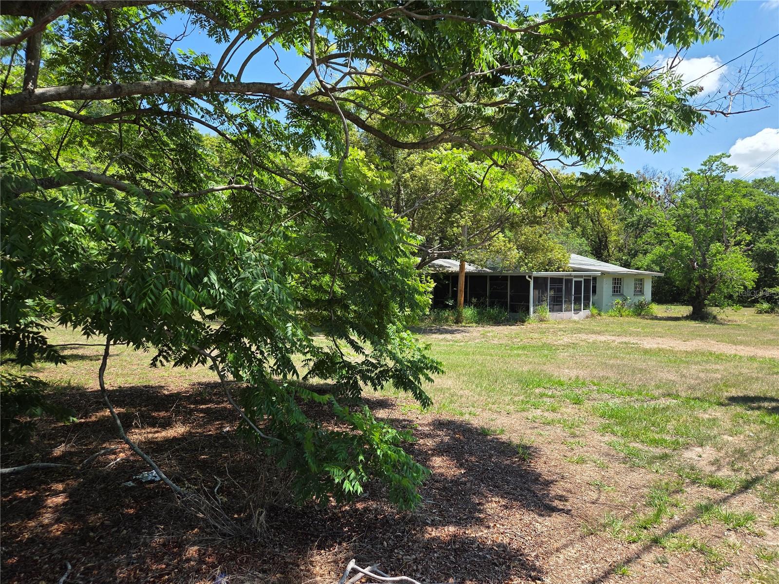 3810 E LUMSDEN RD — photo 3