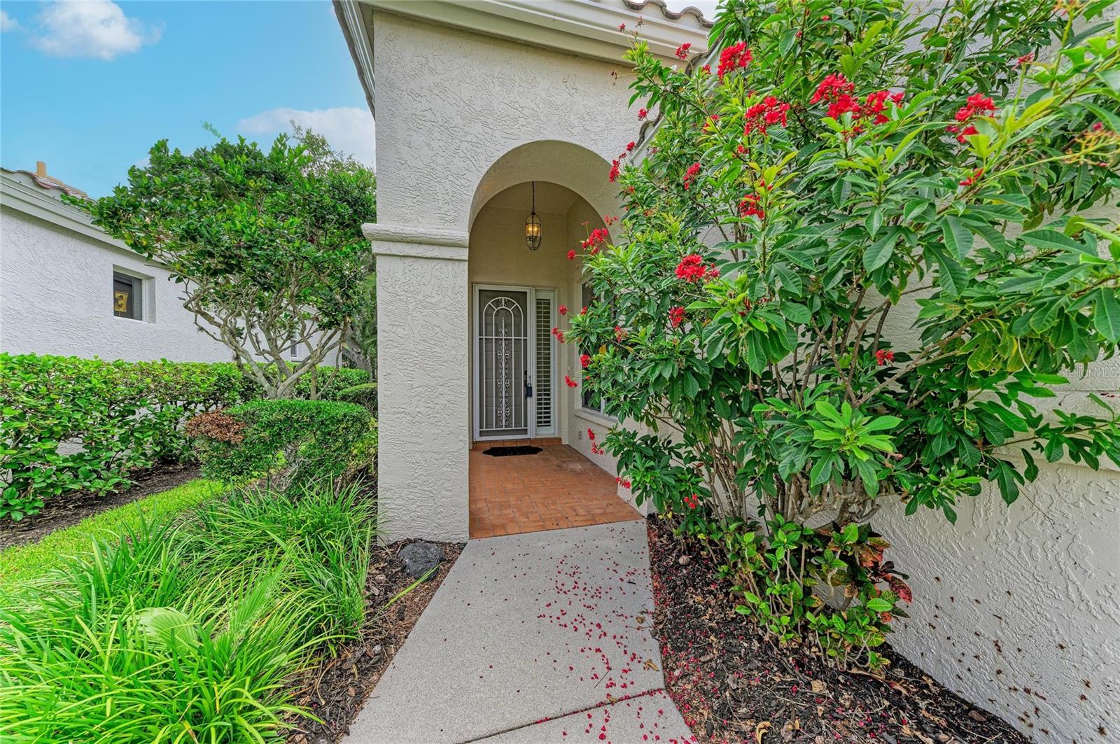 3883 ALAMANDA DR — photo 2