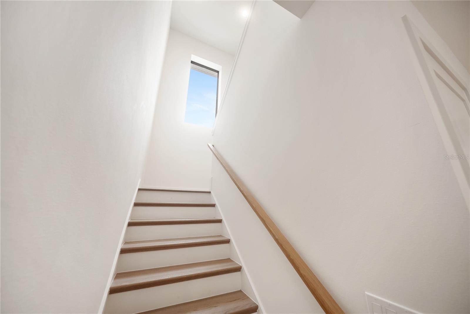 3800 FLORES AVE — photo 45