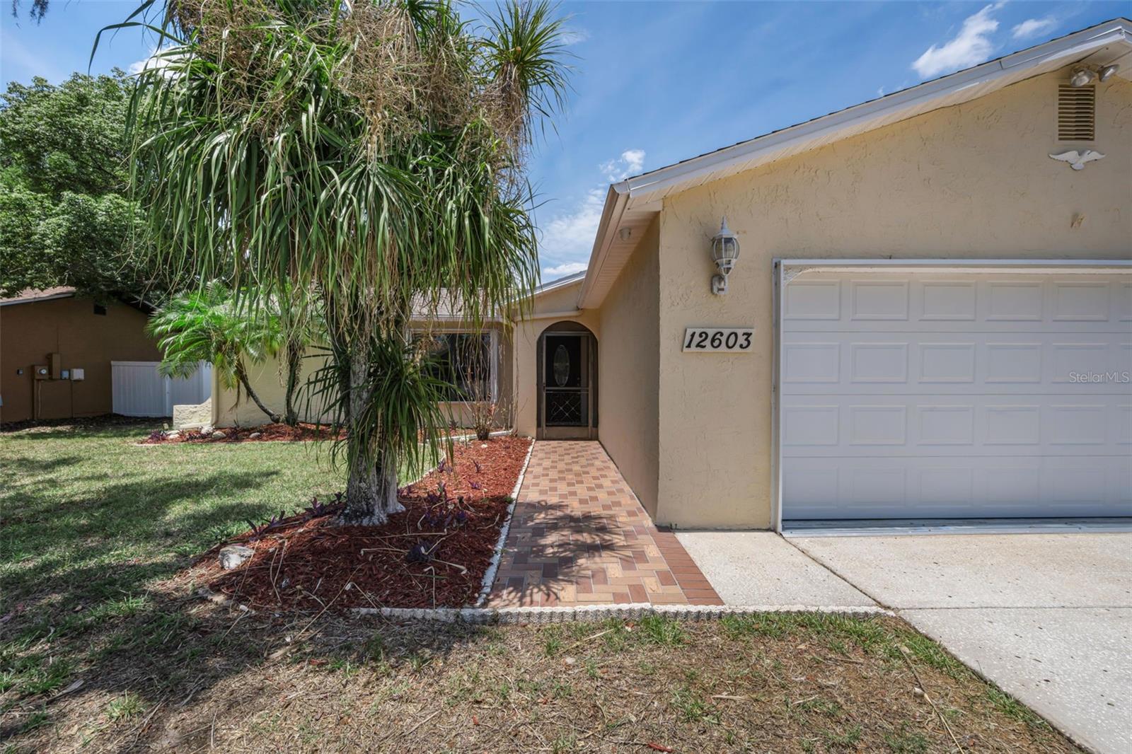 12603 PECAN TREE DR — photo 5