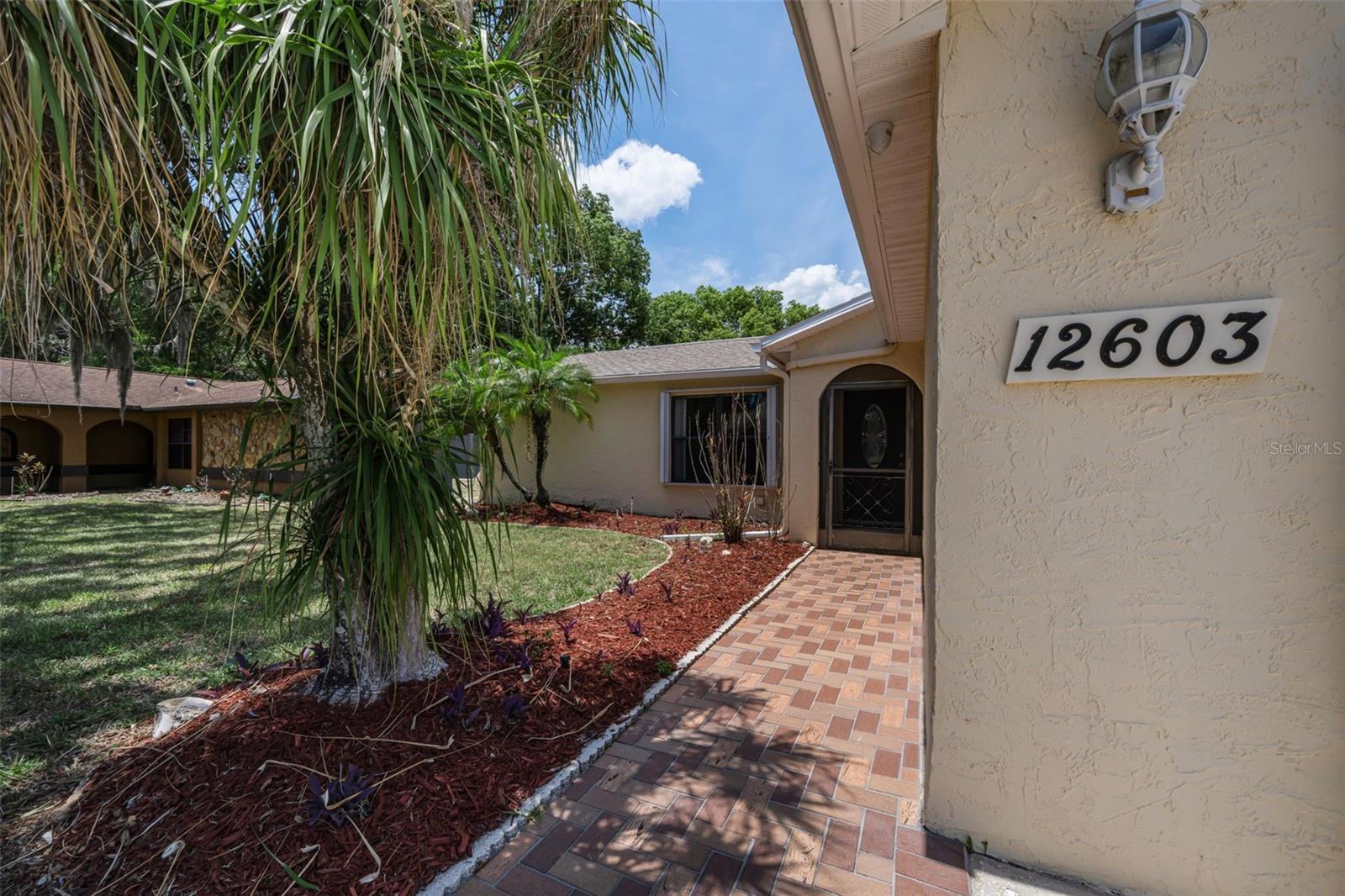 12603 PECAN TREE DR — photo 17