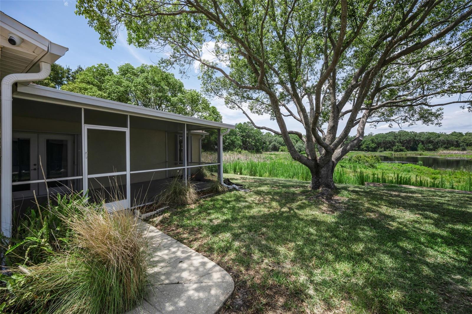 12603 PECAN TREE DR — photo 6